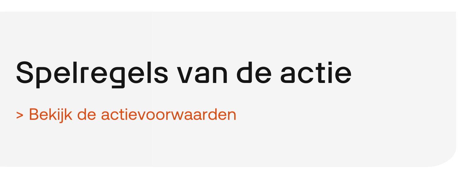 Spelregels Eindejaarsctie