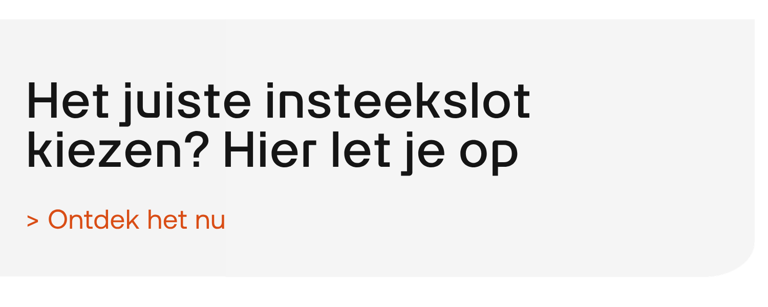 Insteekslot