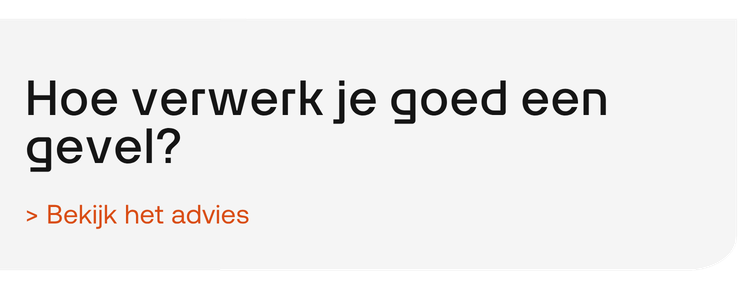 vliesgevel