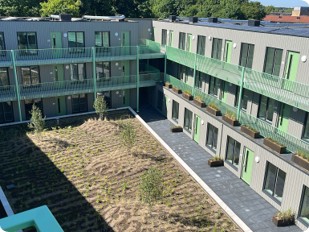 Cementgebonden